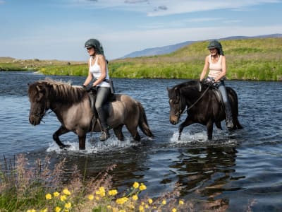 Équitation et rafting à Sagafjordur près de Varmahlid