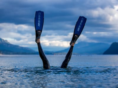 Snorkelling in Lake Bourget at Chindrieux, near Aix-les-Bains