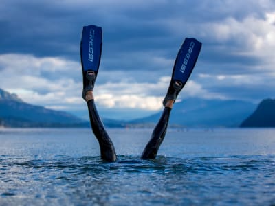 Snorkeling dans le lac du Bourget à Chindrieux, près d'Aix-les-Bains