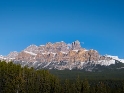 Guided bus tour to Moraine Lake and Lake Louise from Calgary