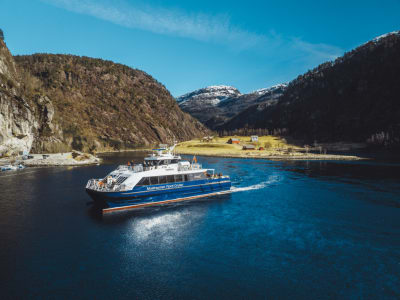 Croisière en bateau dans l'Osterfjord de Bergen à Mostraumen