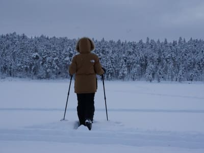 Randonnée en raquettes depuis Muotkan Ruoktu près d'Inari