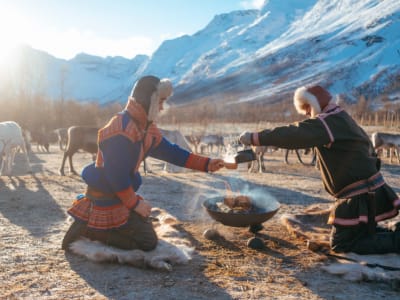 Cultura sami y experiencia con renos desde Tromsø