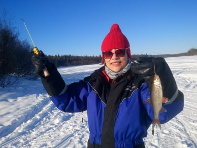 Excursión de pesca en hielo en Pyhä