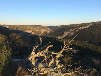 Off-road electric scooter excursion in the Gardon Gorges near Uzès