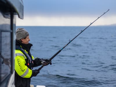 Excursión privada de pesca en el mar en Sortland, Vesterålen