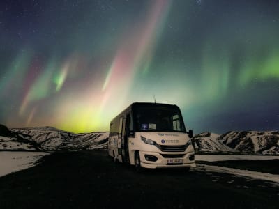 Búsqueda guiada de auroras boreales desde Reikiavik