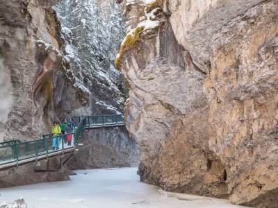 Icewalk in Johnston Canyon from Banff