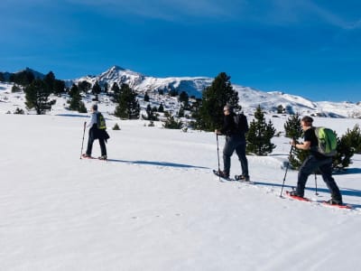Raquetas de nieve desde Ax-les-Thermes en los Pirineos y degustación de productos locales