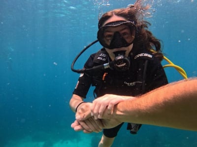 Scuba Diving Discovery in Les Anses-d'Arlet, Martinique