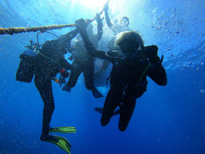 Exploration dive from L'Étang-Salé into Réunion’s marine reserve