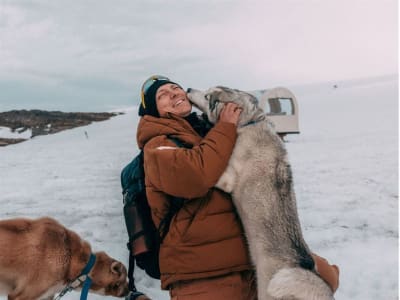 Overnight Husky Camp Experience from Tromsø in Kvaløya