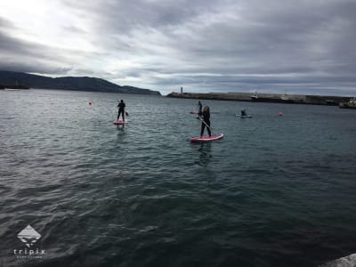 Excursion en stand up paddle au départ de Cais da Madalena autour de l'île de Pico, aux Açores