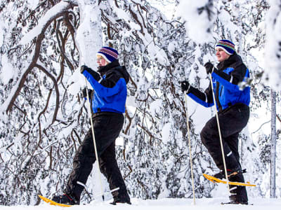 Guided Snowshoe Hike in Kemi