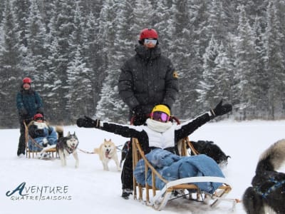 Private Self-Drive Dog Sledding in Rivière-Rouge near Mont-Tremblant