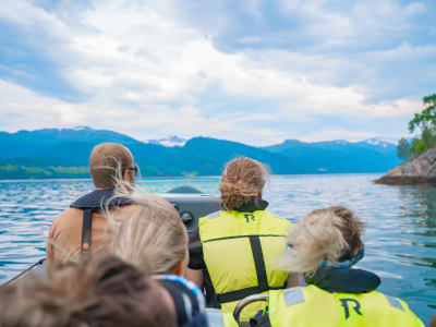 Excursión en lancha rápida por el fiordo Romsdalsfjord desde Åndalsnes