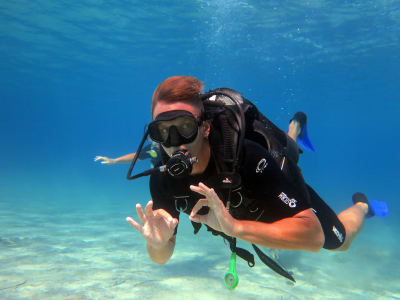 Discover Scuba Diving Excursion in Kos 