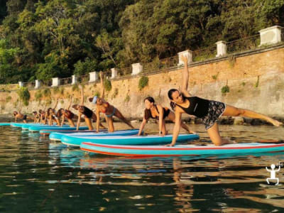 Sunrise Yoga Class on a Stand-up Paddle in the Gulf of Naples