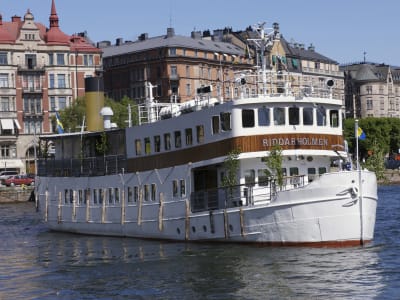 Summer Boat Tour around the Stockholm Archipelago