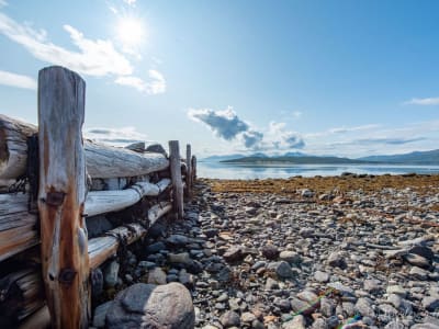 Sommerliche arktische Landschaften Sightseeing-Tour ab Tromsø