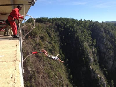 Der höchste Brücken-Bungy der Welt, 216 m von der Bloukrans Bridge