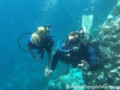 Baptême de plongée aux Anses-d'Arlet, Martinique