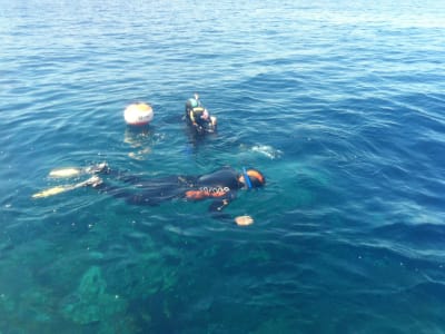 Excursion de snorkeling dans la réserve naturelle des îles Cerbicale, Porto-Vecchio