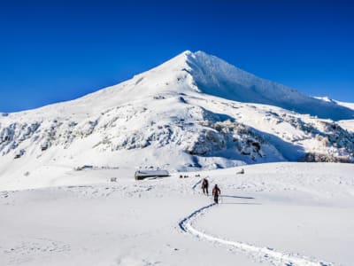 Schneeschuhwandern auf den Gipfeln von Le Lioran, Cantal-Massiv