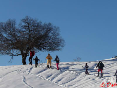 Schneeschuhwanderung in den Ariege-Pyrenäen bei Foix