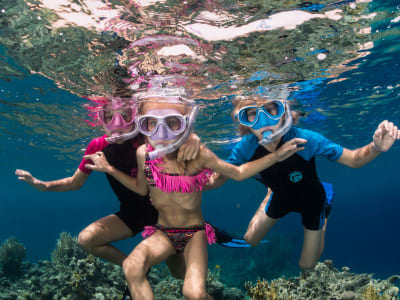 Observation des cétacés en bateau et snorkeling au Cap d'Antibes, Côte d'Azur