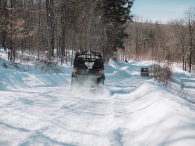 Buggyfahrt in der Nähe von Mont-Tremblant in den Laurentianern