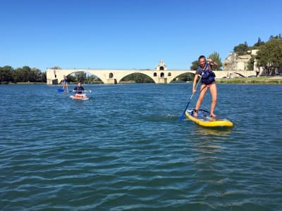 Stand Up Paddle Rental under the Pont d'Avignon