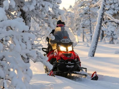 Safari en moto de nieve al pueblo de Papá Noel desde Rovaniemi