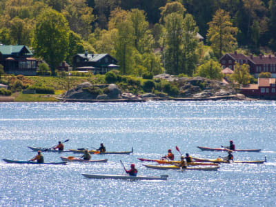 Curso intermedio de kayak en Bohuslän