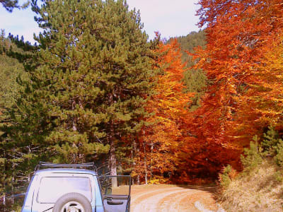 Jeep excursion in Valia Calda, Pindos