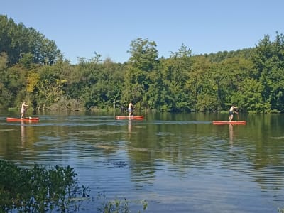 Stand-up-Paddle-Verleih auf der Yonne ab Joigny, in der Nähe von Auxerre