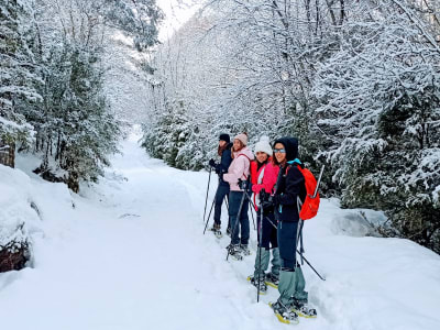 Excursion guidée en raquettes à neige dans les Pyrénées, à Huesca