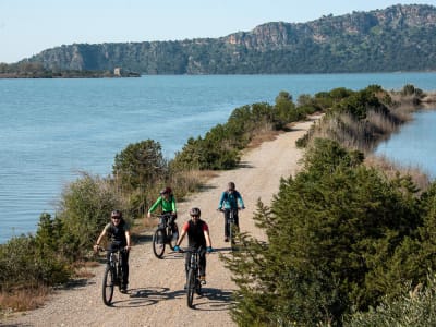 Excursion guidée en E-bike dans la baie de Navarino depuis Pylos