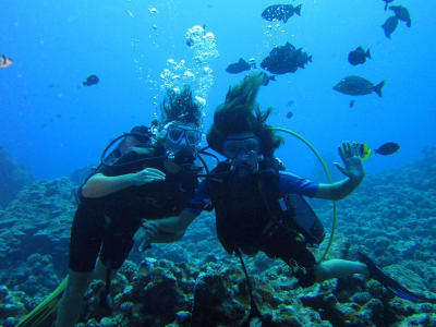 Level 1 dive training in Raiatea, French Polynesia