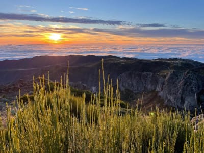 Ruta de senderismo por los picos de Madeira: Pico do Areeiro, Pico das Torres y Pico Ruivo