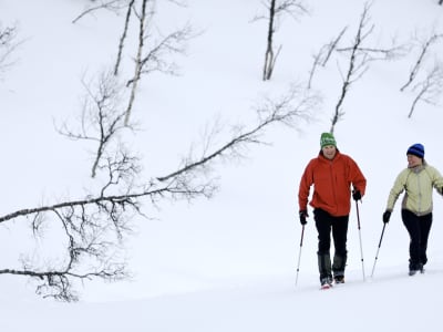 Snowshoe hike in the mountains starting from Åre