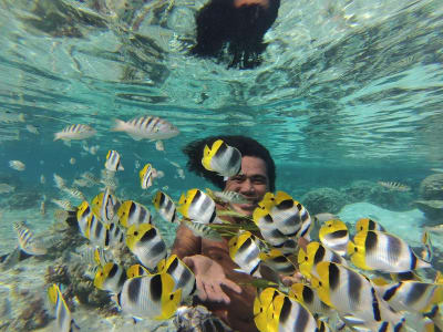 Boat Tour with Snorkelling in Taha'a's Lagoon from Taha'a