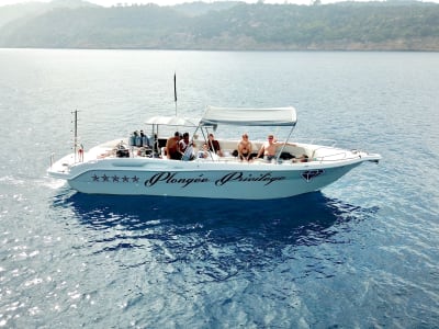 Excursión en barco y buceo desde Bormes-les-Mimosas