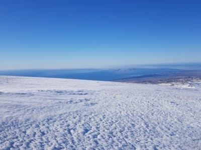 Wandern auf dem großen Vulkan Eyjafjallajökull, Seljavellir