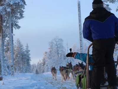 Motos de nieve y trineos tirados por perros en Rovaniemi