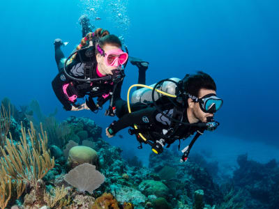 Discover Scuba Diving in Forum Beach, Barcelona