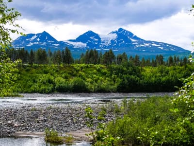 Guided Hiking Excursion to the Målselv Waterfall in Målselv