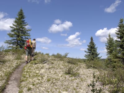 Guide Hike in the Grands-Jardins National Park, Charlevoix