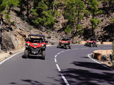 Excursion en buggy le long de la côte sud de Ténérife, depuis Costa Adeje
