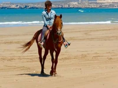 Excursión guiada a caballo por las dunas y playas de Essaouria, Marruecos 